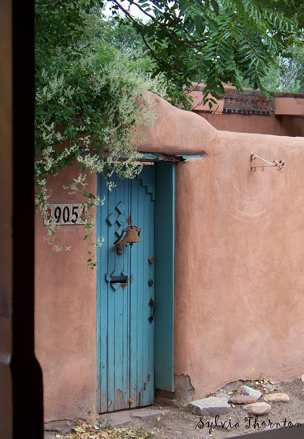 Behind the Blue Door Photograph by Sylvia Thornton