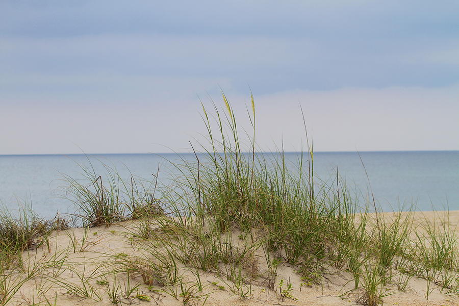 Beach Photograph - Behind the Dune Grasses 3 by Cathy Lindsey
