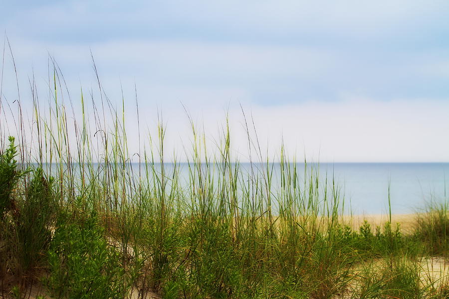 Beach Photograph - Behind the Dune Grasses by Cathy Lindsey