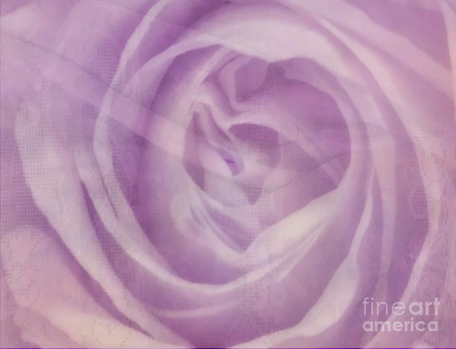 Rose Digital Art - Behind the Purple Veil  by Andrea Kollo