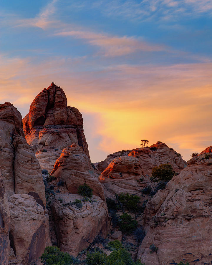 Behind the Rocks Photograph by Dustin LeFevre