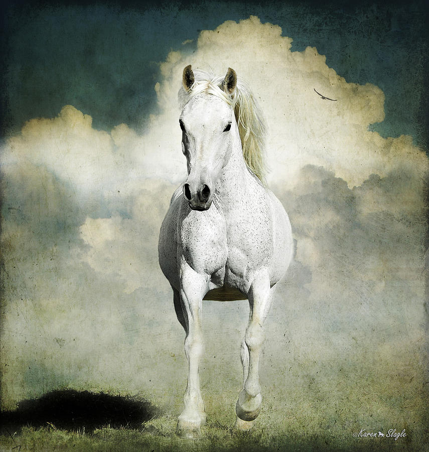 Behold a White Horse Photograph by Karen Slagle