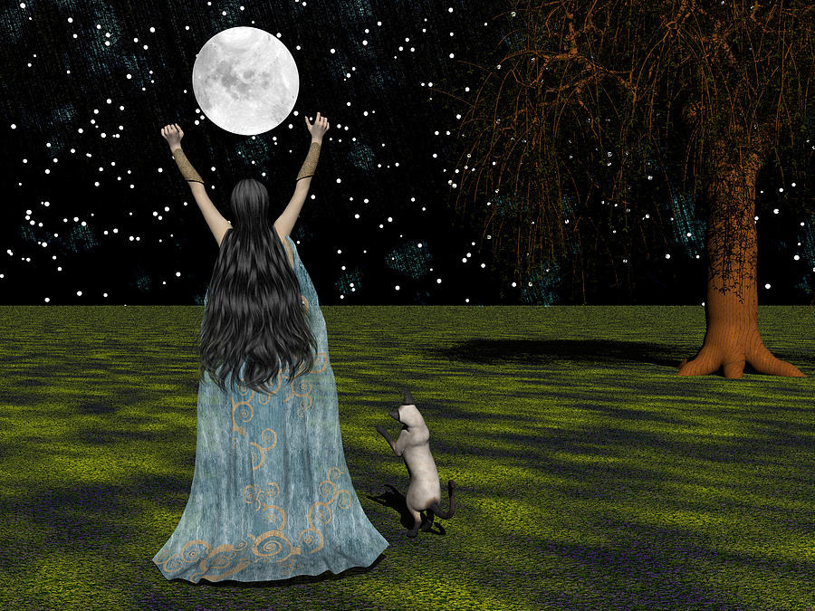 Behold the Moon Digital Art by Michele Wilson