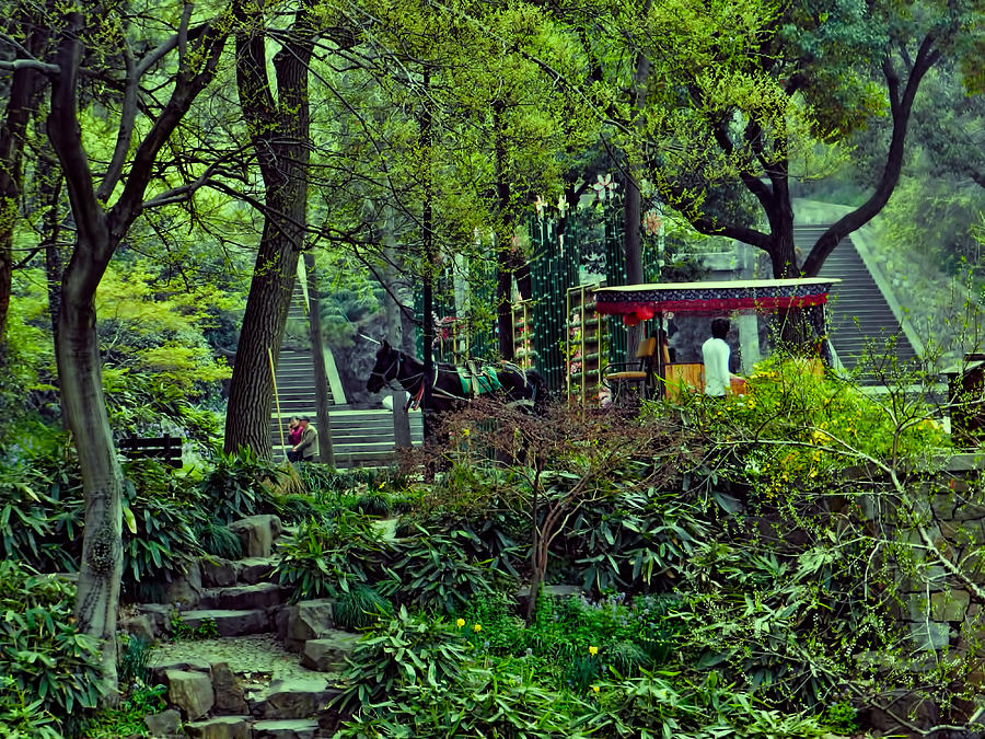 Beijing Gardens Photograph by Cathy Anderson
