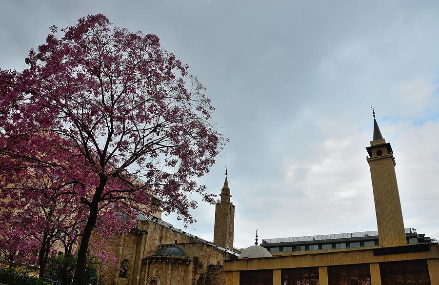 Beirut Al Omari Grand Mosque Photograph by Steven Richman