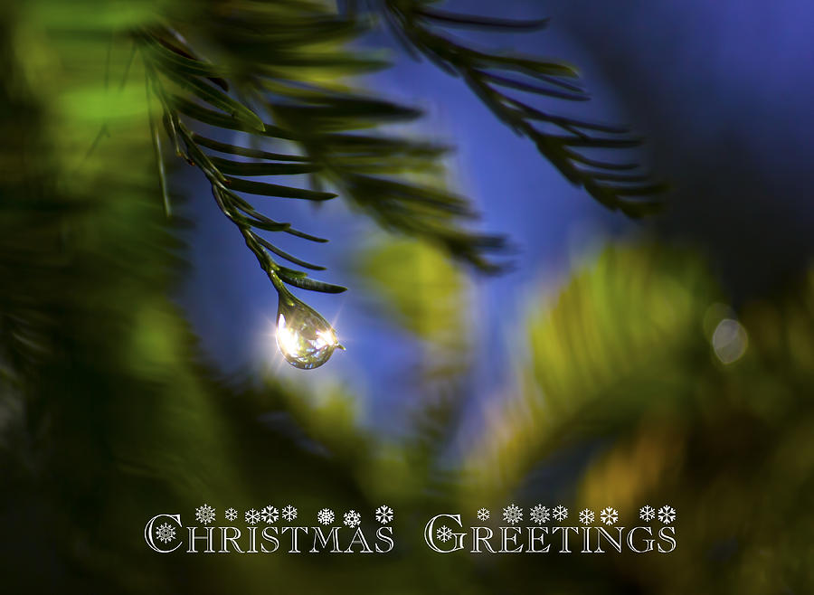 Bejeweled Christmas Greeting Photograph