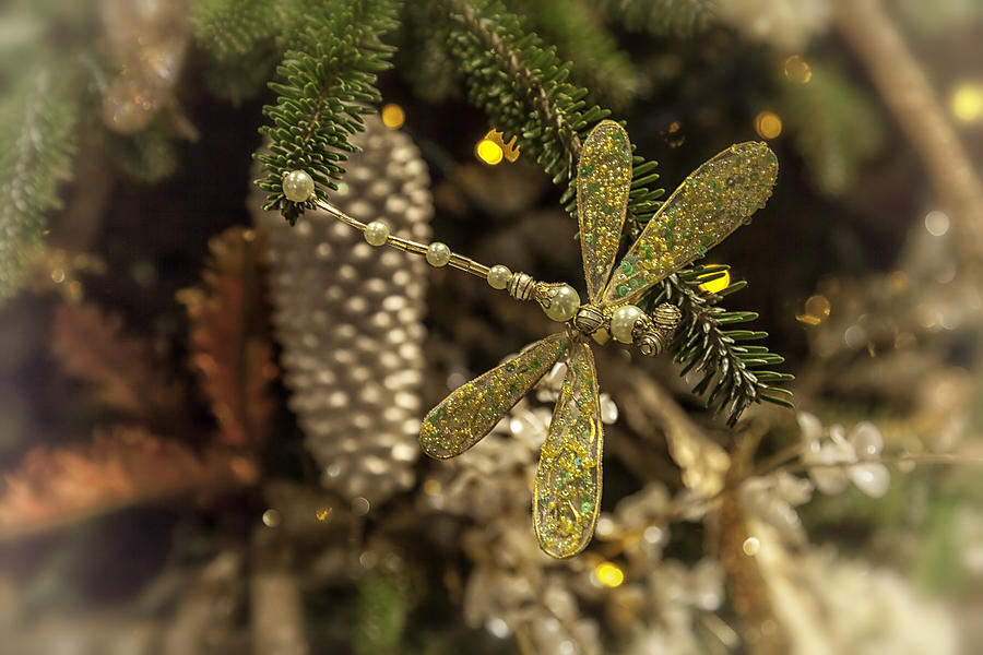 Bejeweled Pearl Dragonfly Photograph