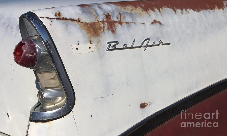 Bel Air Fin Photograph by J L Woody Wooden
