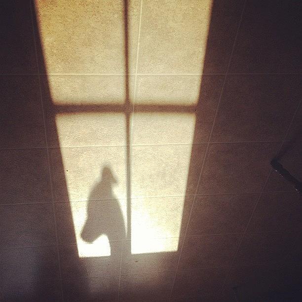 Whippet Photograph - Belated #cmglimpse {shadow} #whippet by Liz Behm