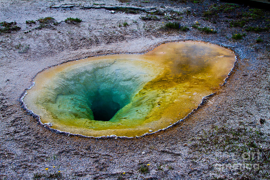 Yellowstone National Park Photograph - Belgian Pool by Dan Hartford