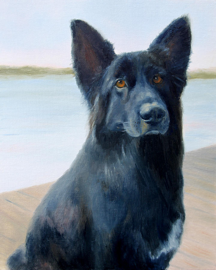 Belgian Shepherd Painting by Beth Johnston