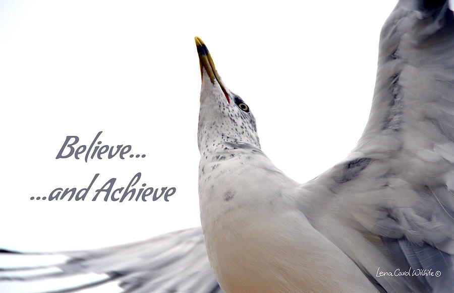 Believe And You Can Achieve Photograph by Lena Wilhite
