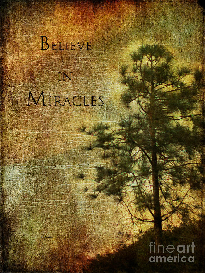 Believe In Miracles			 Photograph by Claudia Ellis