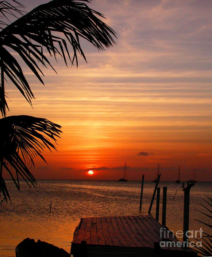 Belize Sunset I Painting by Shelly Leitheiser