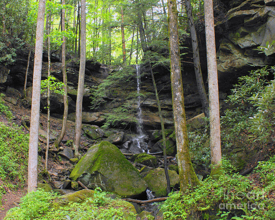 Bell Falls Photograph by Roger Potts | Fine Art America