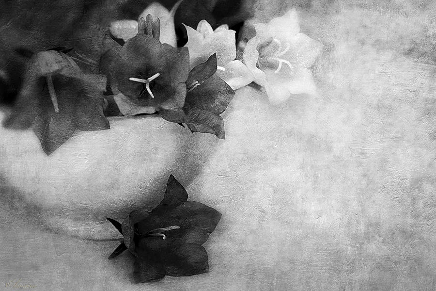 Bell Flowers In Black And White Photograph by Maria Angelica Maira