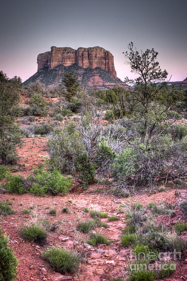 Bell Rock at Dusk Photograph by Bryan Keil