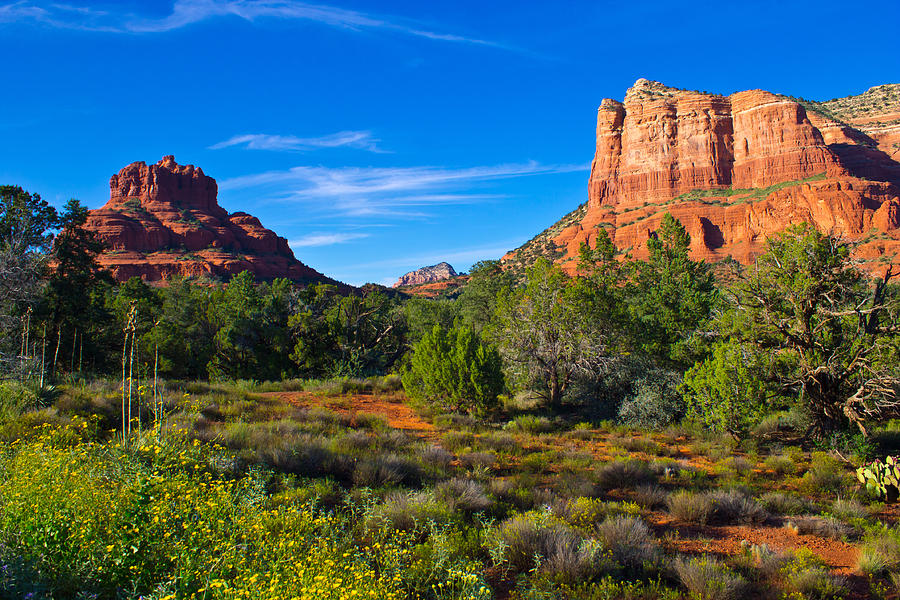 Bell Rock Sedona Arizona Photograph by Jim Mattern