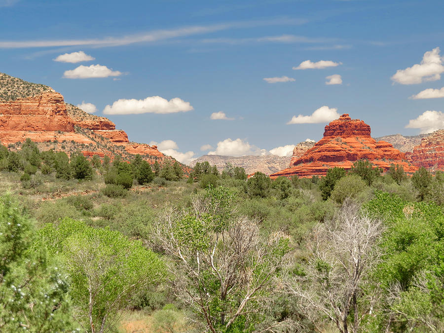 Bell Rock Sedona by Ed Cheremet