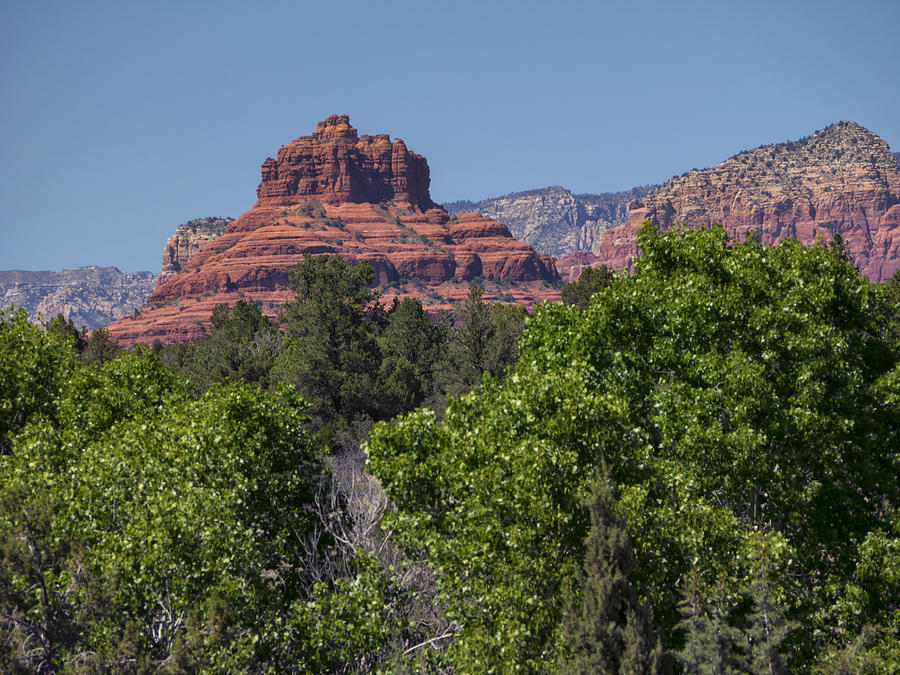 Bell Rock Sedona with trees Photograph by Marianne Campolongo