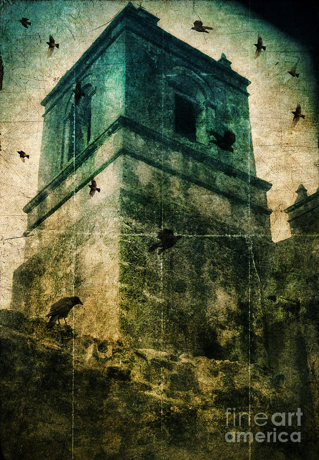 Architecture Photograph - Bell Tower with Birds Circling by Jill Battaglia