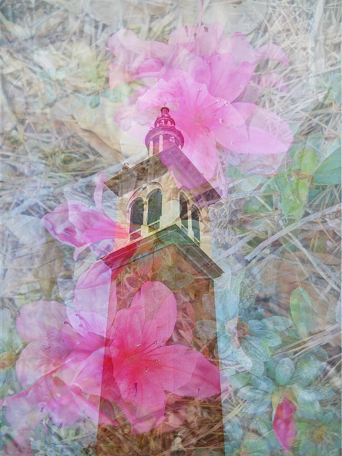 Bell Tower Wrapped in Spring Photograph by Judy Hall-Folde