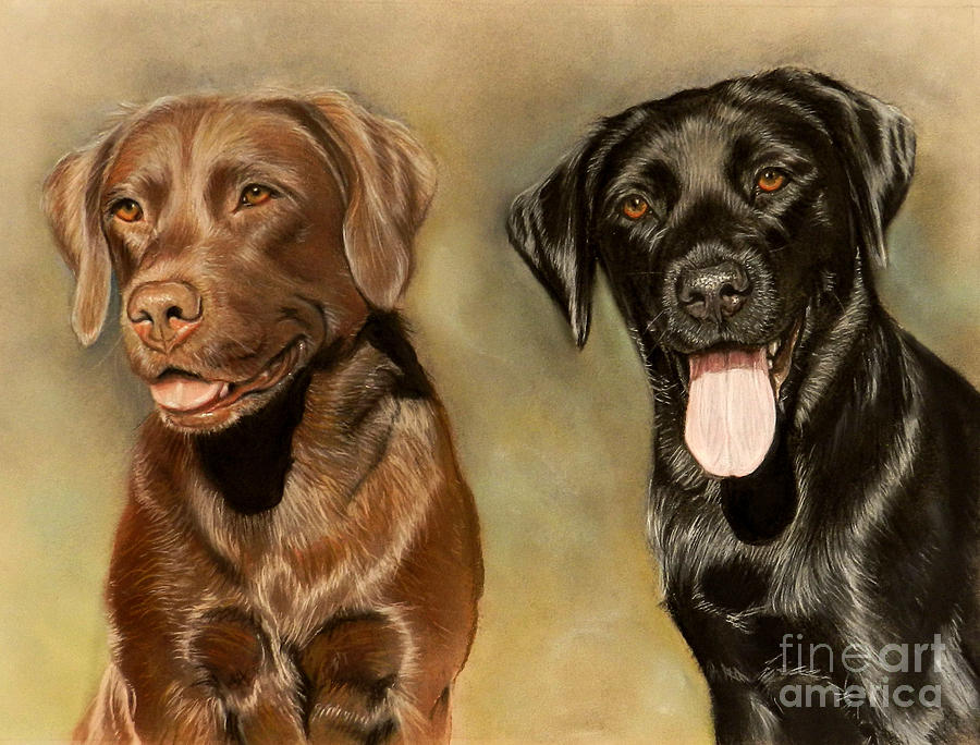 Dog Drawing - Bella and Sophie by Caroline Collinson