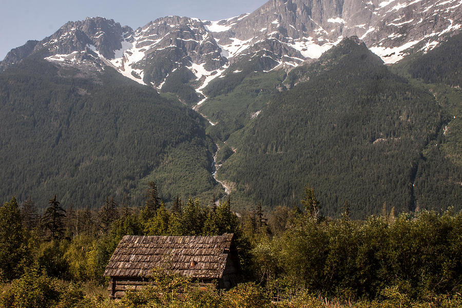 Old Cabins Photograph - Bella Coola Valley by Ed Nicholles