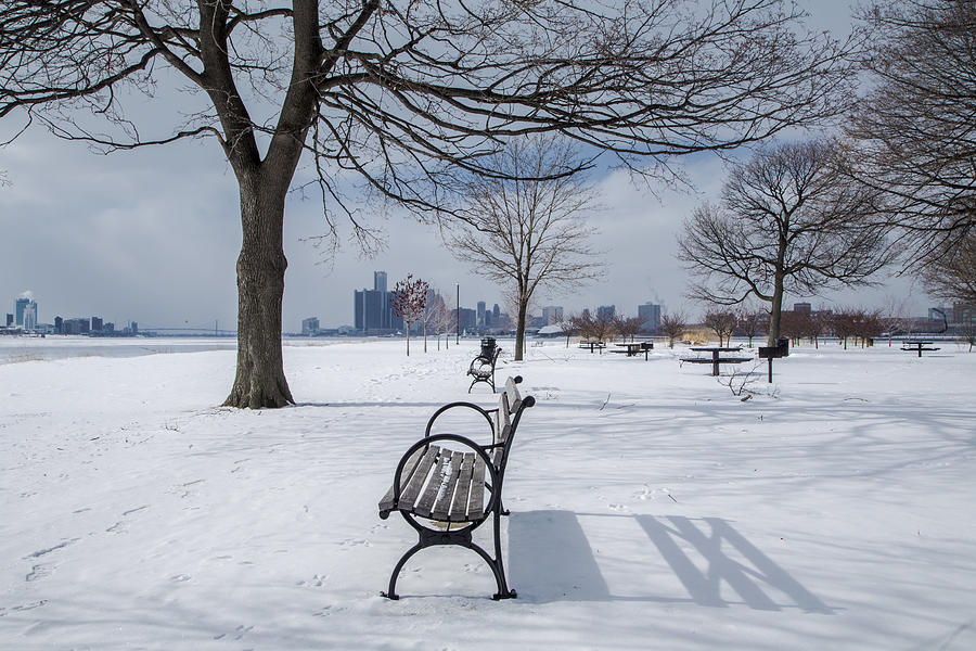 Belle Isle Bench with Detroit in background Photograph by John McGraw