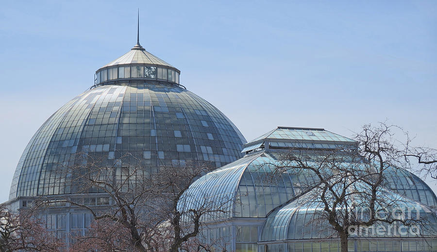 Belle Isle Conservatory Photograph by Ann Horn - Pixels