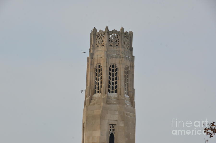 Belle Isle Tower and birds Photograph by Randy J Heath