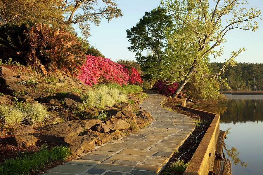 Bellingrath Gardens Photograph - Bellingrath Gardens - Alabama by Mountain Dreams Bellingrath Gardens Photograph - Bellingrath Gardens - Alabama by Mountain Dreams