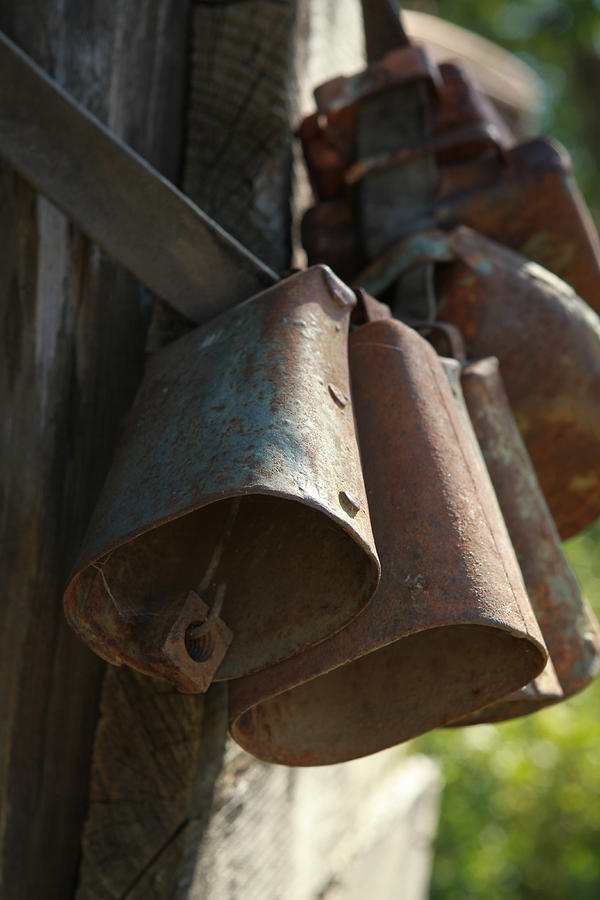 Bells Photograph by Diane Bohna
