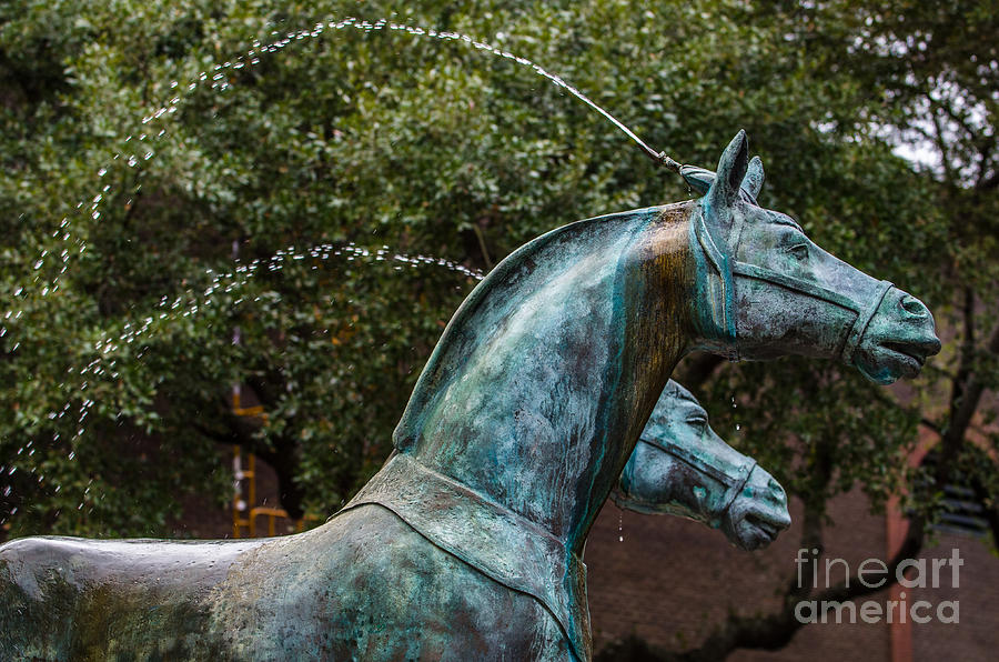 Belmond Charleston Place Horse Fountain Photograph