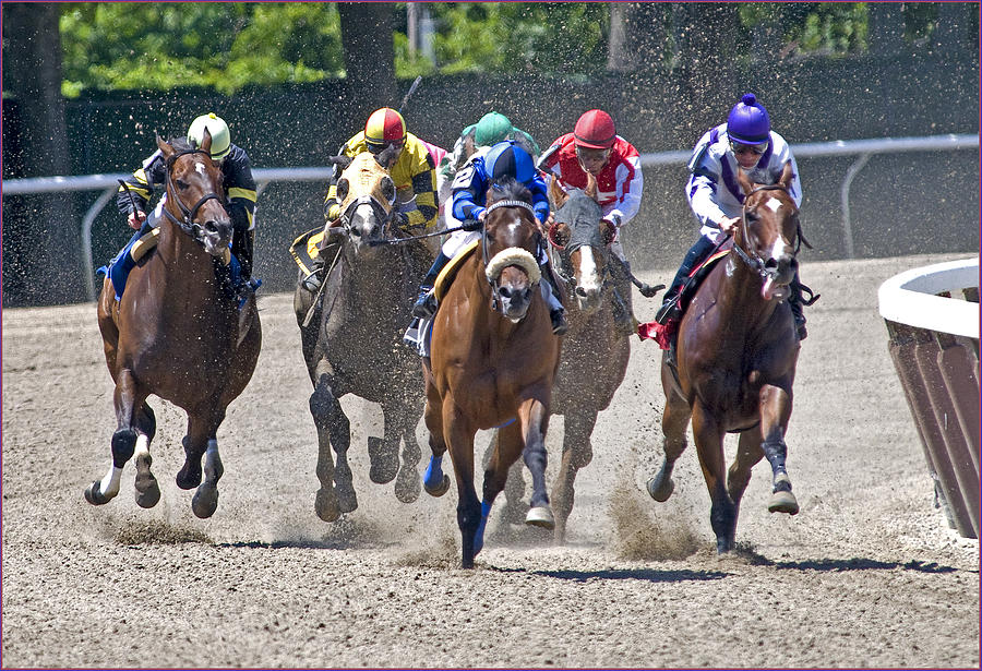 Horse Photograph - Belmont Racing by Alida Thorpe