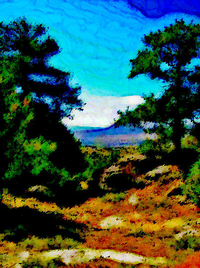 Nature Photograph - Beloved Wyoming by Lenore Senior