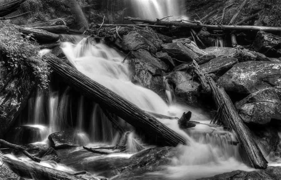 Below Anna Ruby Falls in Black and White Photograph by Greg and Chrystal Mimbs