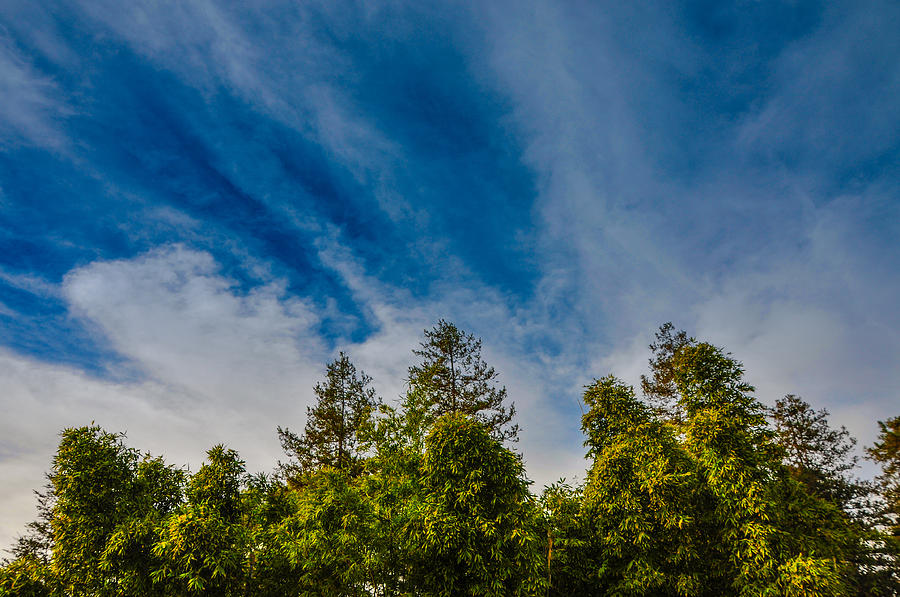 Below the Blue Sky Photograph by Keisha Marshall - Pixels