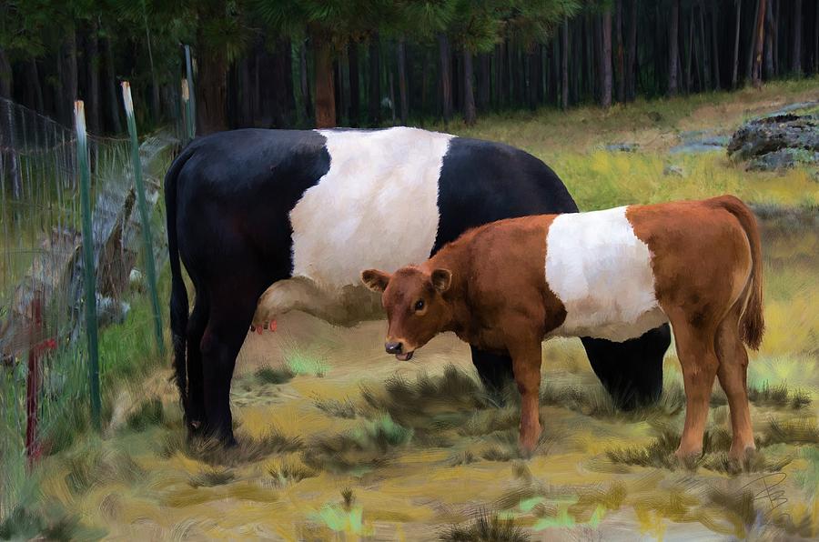Belted cow and calf Digital Art by Debra Baldwin