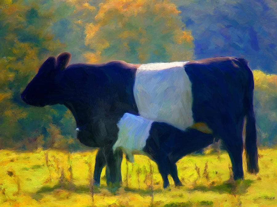 Belted Galloway Calf Painting by Michael Pickett