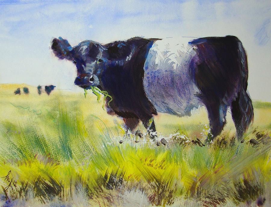 Belted Galloway Cow Painting