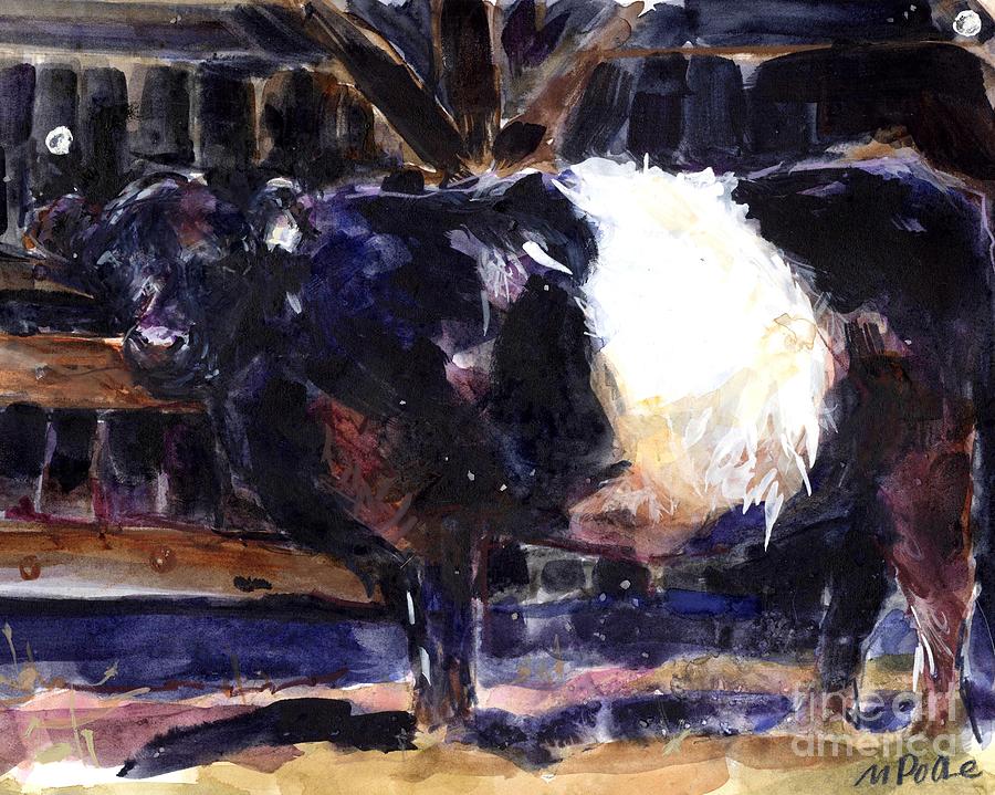 Beltie Painting by Molly Poole