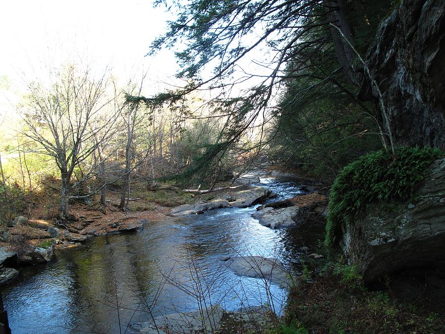 Belvidere Junction Stream Vermont Photograph by Barbara McDevitt Fine