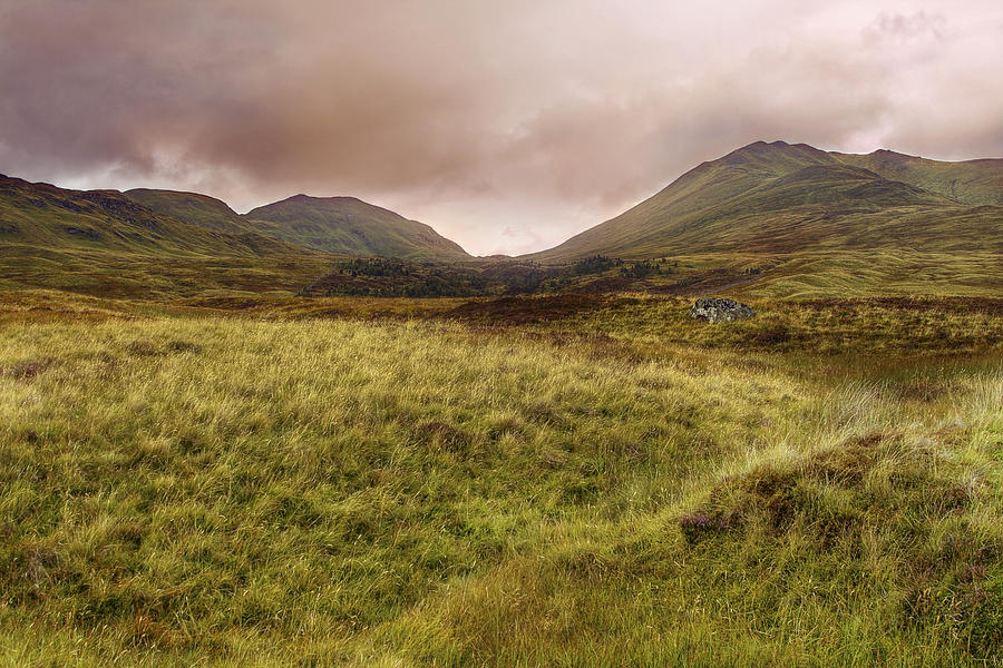 Ben Lawers - Scotland - Mountain - Landscape Photograph by Jason Politte