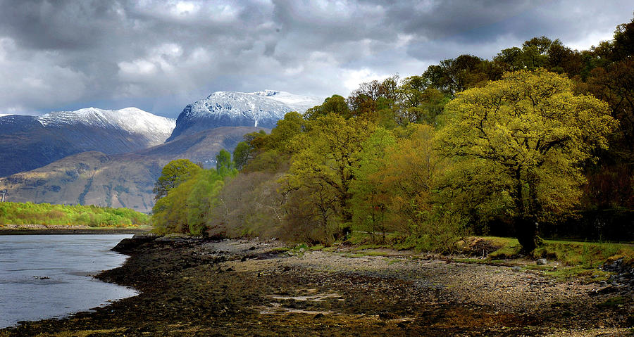Ben Nevis From Loch Eil Photograph by Duncan Darbishire Arps