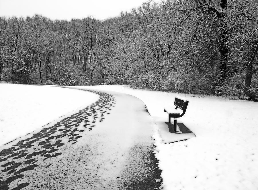 Bench and Footprints in Snow Photograph by Ellen Tully
