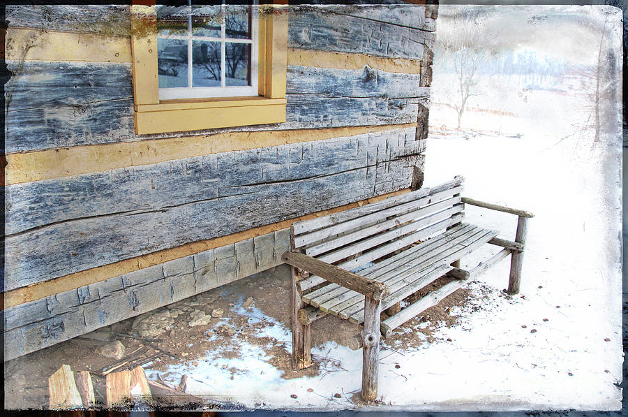 Bench and Log Cabin Photograph by David Arment