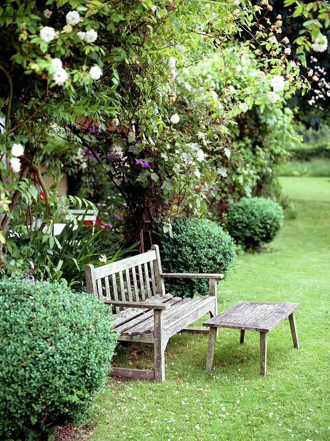 Bench And Table On A Lawn Photograph by Rachel Warne/science Photo ...