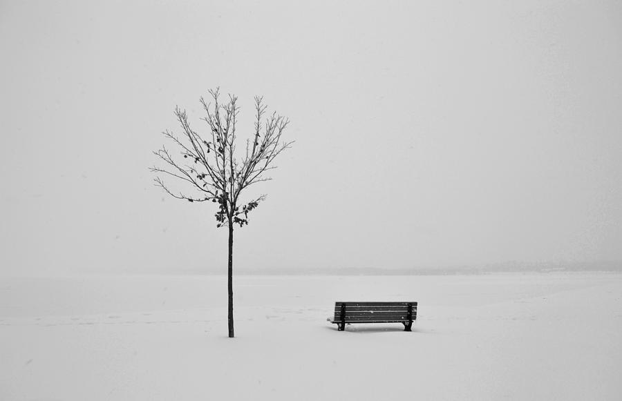 Bench And Tree And Snow BW2  Photograph by Lyle Crump