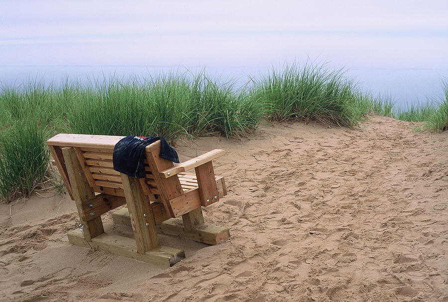 Bench at the Beach Photograph by Randy Pollard